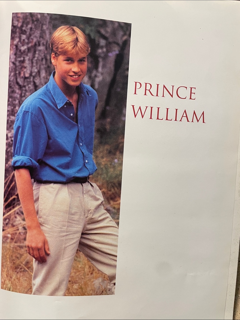 Barnes & Noble Prince William Coffee Table Book - Blue Cover, Cream Pages